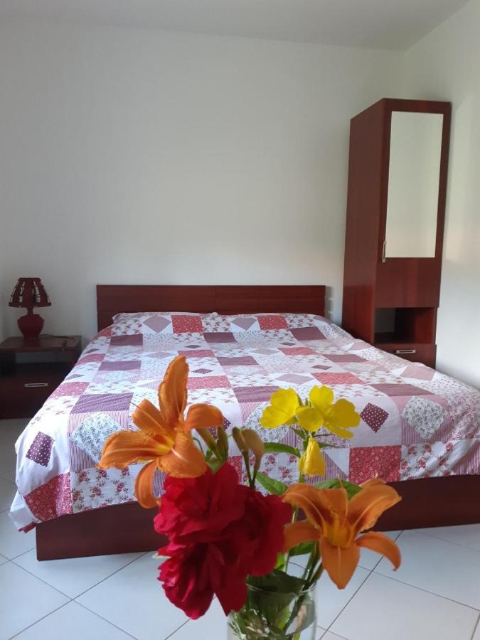 Cvjetni Apartmani 采蒂涅 外观 照片