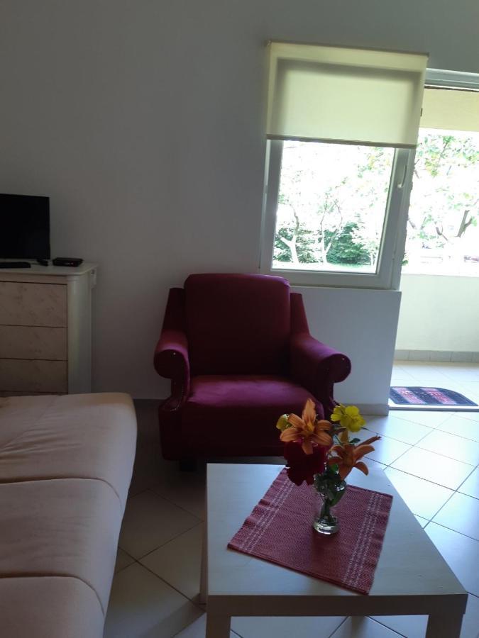 Cvjetni Apartmani 采蒂涅 外观 照片
