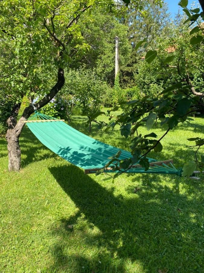 Cvjetni Apartmani 采蒂涅 外观 照片