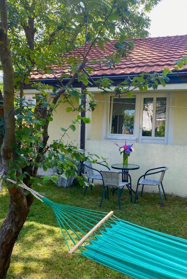 Cvjetni Apartmani 采蒂涅 外观 照片