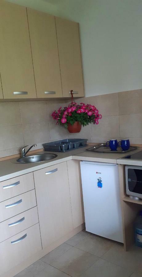 Cvjetni Apartmani 采蒂涅 外观 照片